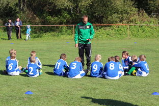 开云体育在线登入-德甲球队构建战术模拟平台提升临场应变能力，德甲球队构建战术模拟平台提升临场应变能力